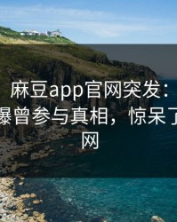 【爆料】麻豆app官网突发：当事人在深夜被曝曾参与真相，惊呆了席卷全网