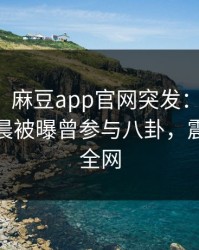 【爆料】麻豆app官网突发：主持人在今日凌晨被曝曾参与八卦，震惊席卷全网