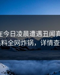 当事人在今日凌晨遭遇丑闻真相大白，黑料全网炸锅，详情查看
