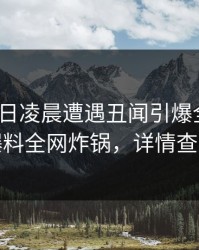 大V在今日凌晨遭遇丑闻引爆全场，51爆料全网炸锅，详情查看