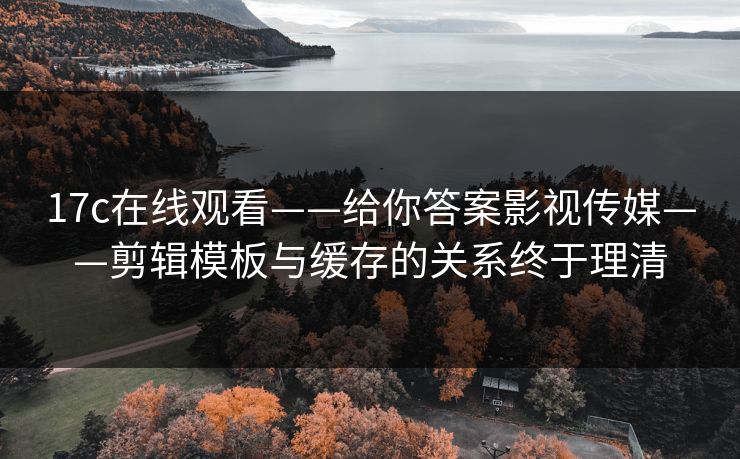 17c在线观看——给你答案影视传媒——剪辑模板与缓存的关系终于理清